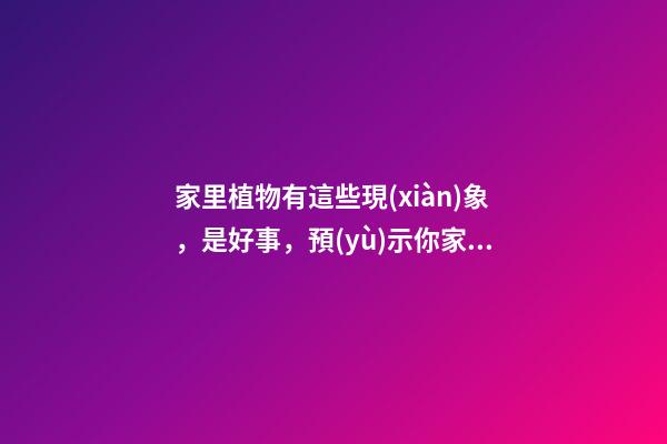 家里植物有這些現(xiàn)象，是好事，預(yù)示你家要發(fā)大財了！
